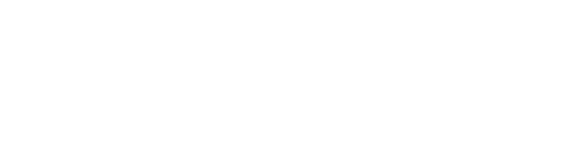 VIP Hotel